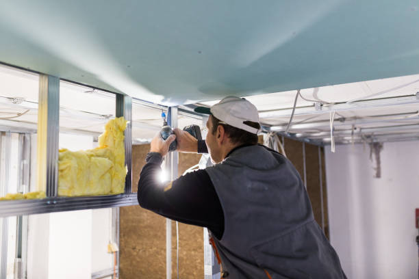 Professional Insulation Contractor in Edwardsburg, MI