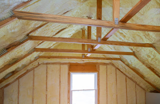 Best Insulation Maintenance and Repair in Edwardsburg, MI