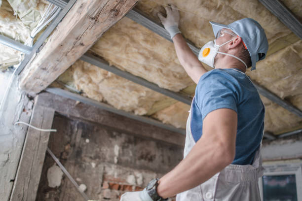 Best Energy Efficiency Insulation in Edwardsburg, MI