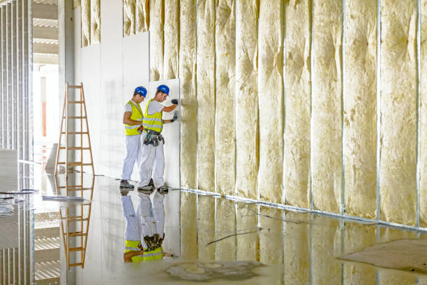 Best Blown-in Insulation in Edwardsburg, MI